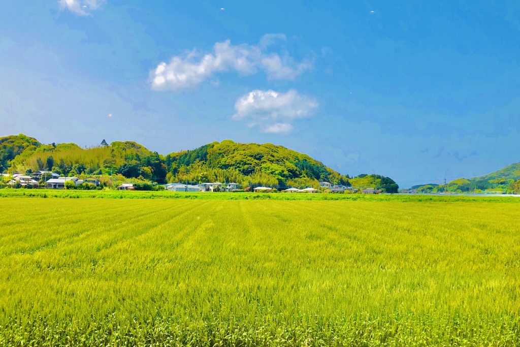 【地方移住はやめろ！】家がもらえる条件は？地方移住を成功させるコツも紹介！